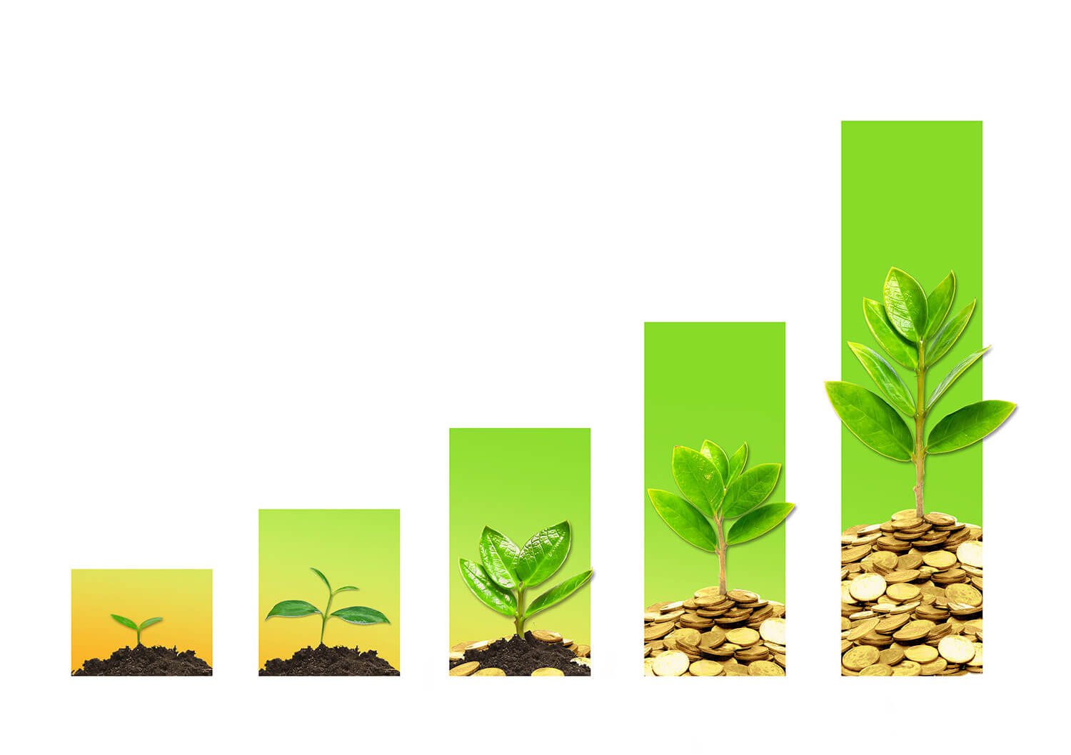 How to Innovate and Grow Your Business