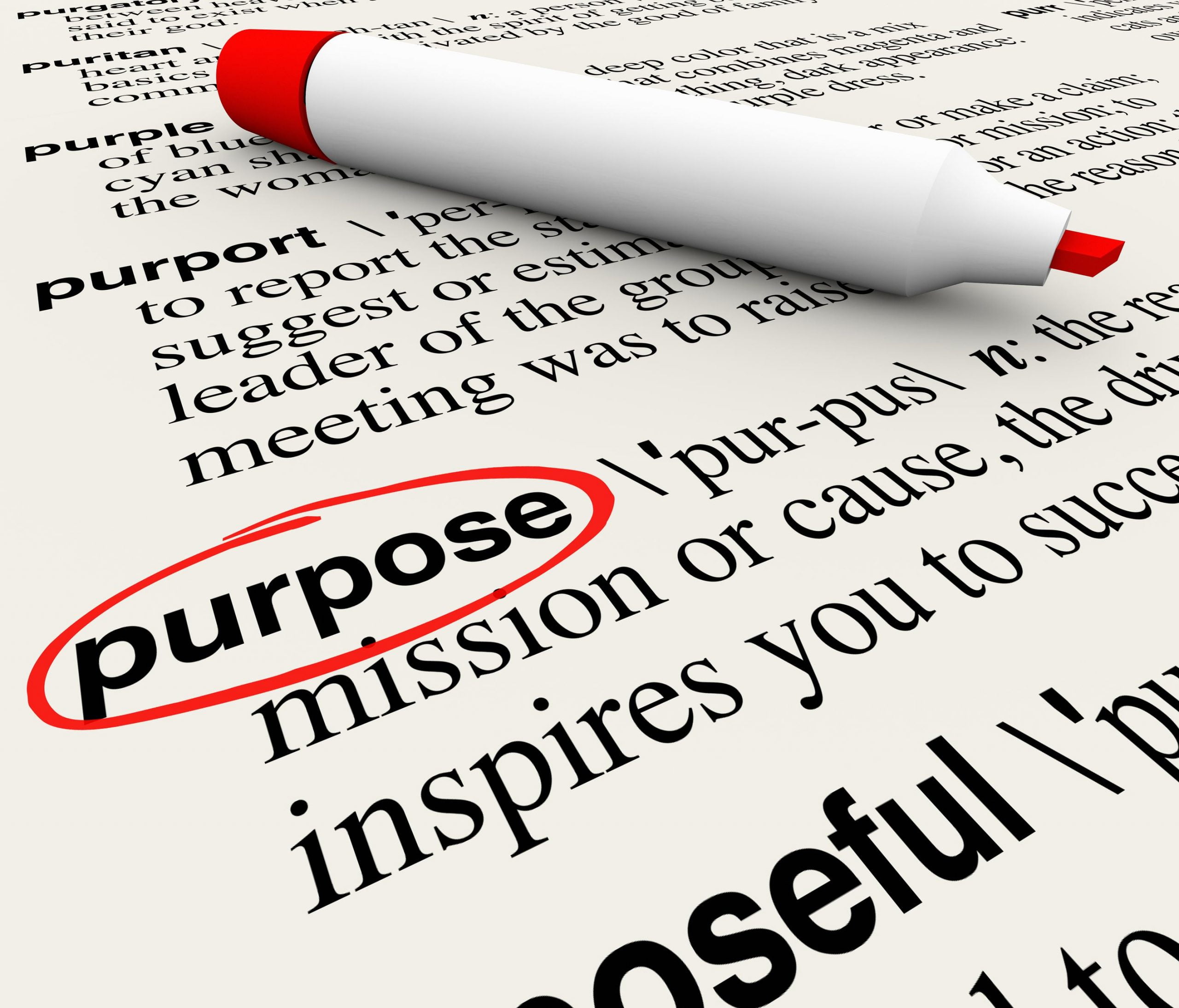 Why Businesses Need A Mission And Purpose!